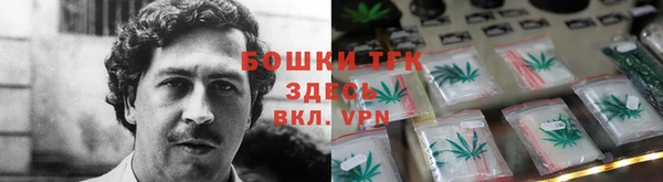 шишки Нея