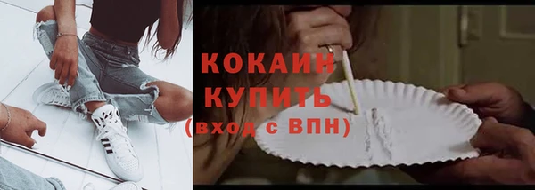 шишки Нея