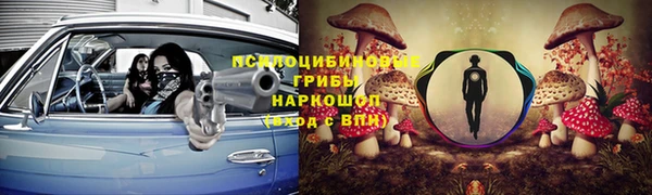 шишки Нея