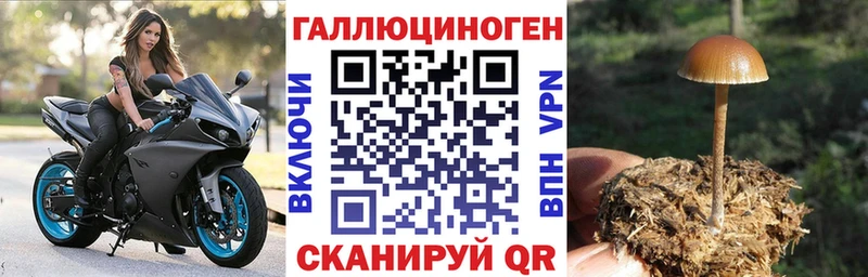 Псилоцибиновые грибы Cubensis  где продают наркотики  Ряжск 