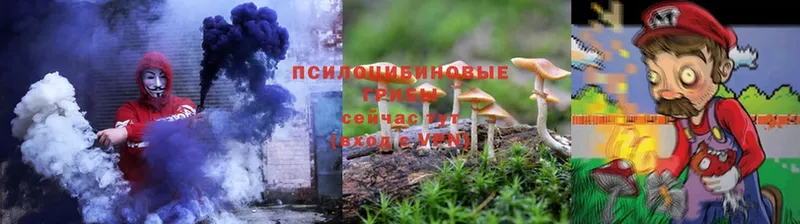 Псилоцибиновые грибы Psilocybe  мега ССЫЛКА  Ряжск  купить наркотик 